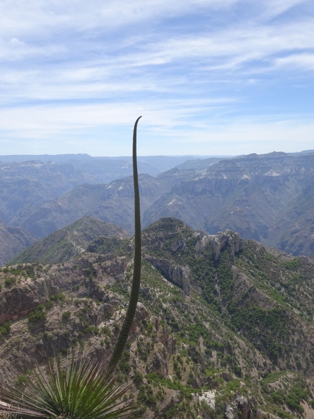 閑散期でツアー催行人数が集まらず、苦戦。
でも、期せずして世界一長いZIP...