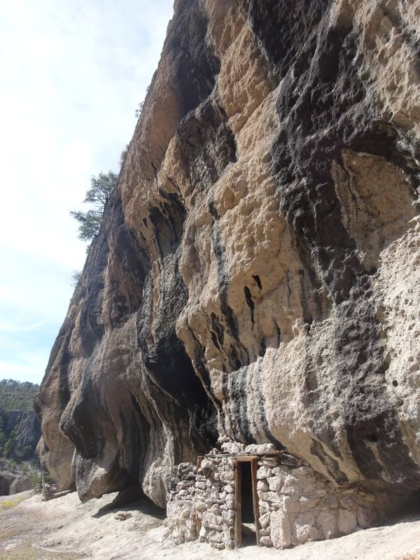 メキシコ・LaPaz「メキシコ北部の旅☆」の写真：半日のエコハイキング。神鳥ケッツァルクァ...
