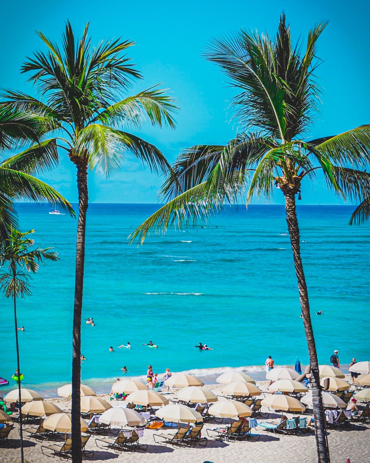 「ピンクホテルへ」

ハワイに到着後タクシーでロイヤルハワイアンホテルに向...