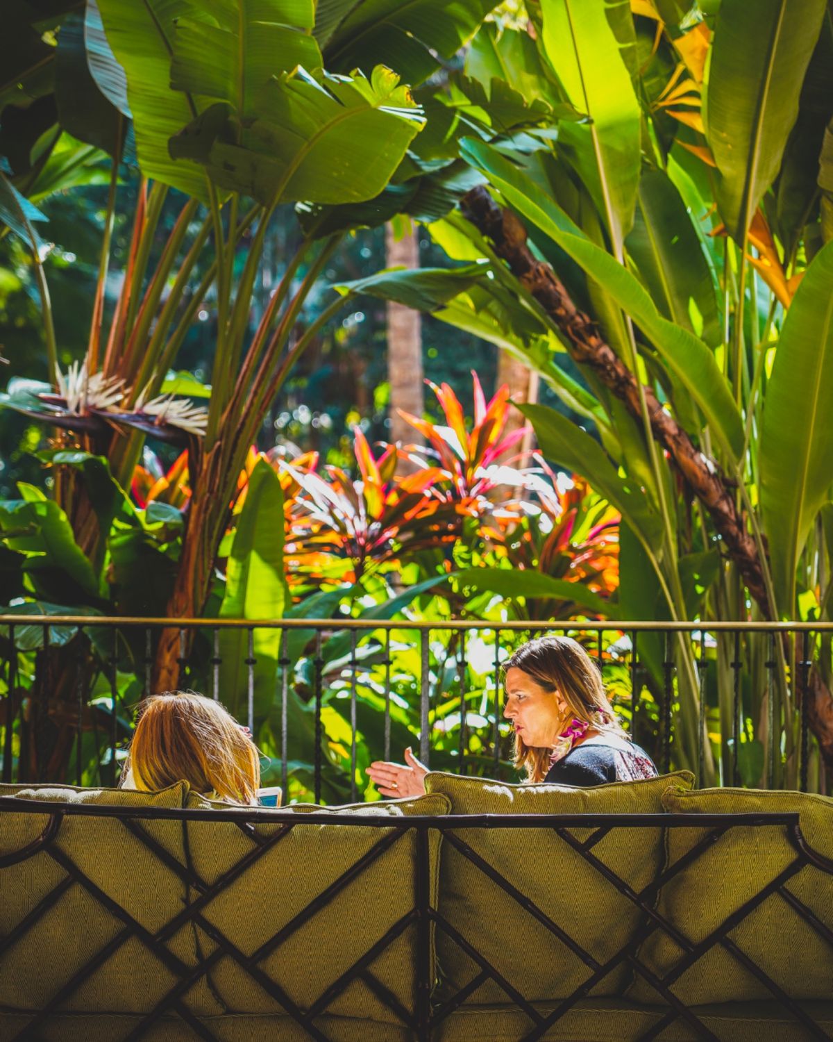 「ピンクホテルへ」

ハワイに到着後タクシーでロイヤルハワイアンホテルに向...