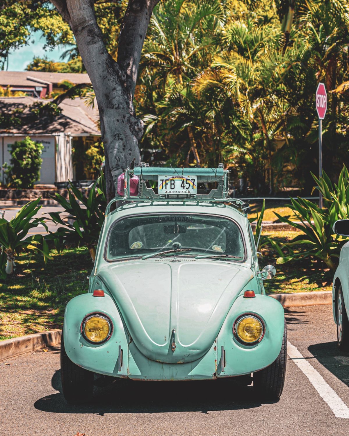 ハワイでは至る所で虹を見かける。例えば、

車のナンバープレートにまで。
...