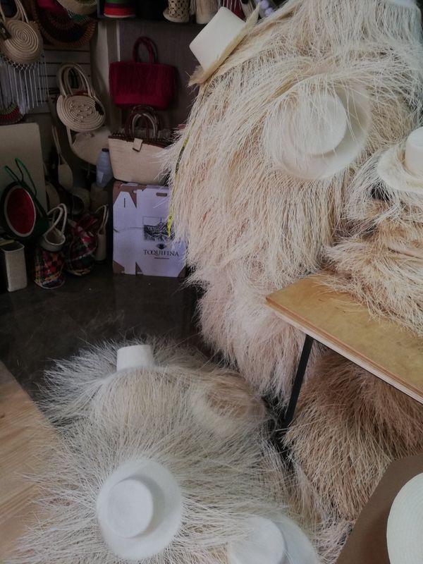 エクアドル・Quito「中南米放浪記 2019 🇪🇨」の写真：エクアドルの太平洋岸に広がるマナビ県。実...