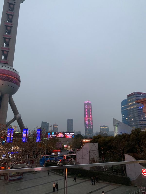 中国・上海「2019上海ディズニーランド旅行」の写真