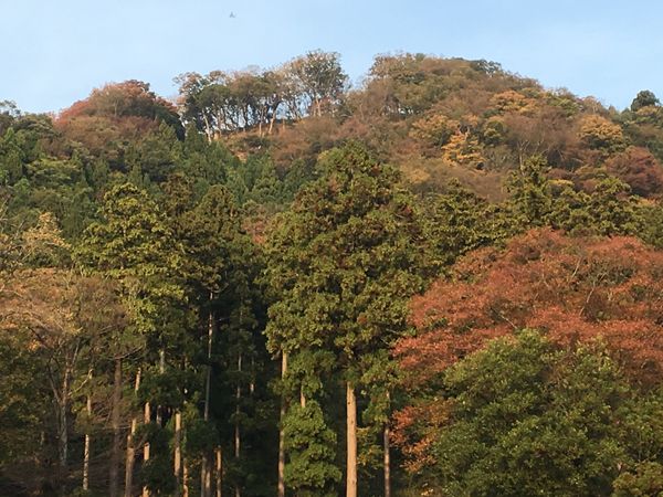 日本・福井県「竹田城跡、付近の城巡り」の写真：国吉城、資料館