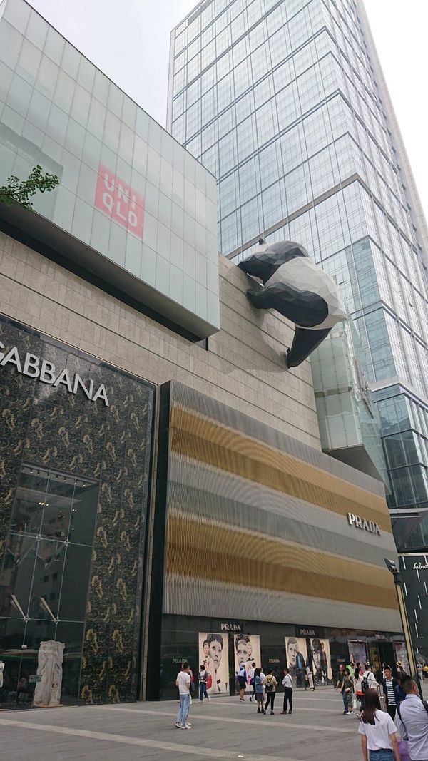 中国・成都「成都」の写真：ユニクロドルガバプラダの壁を乗り越えるパンダ