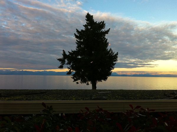 カナダ・バンクーバー「カナダの旅」の写真