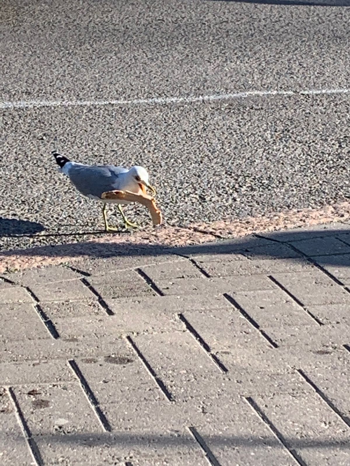 ホテルの近くにあった適当なイタリアンで夜ごはん。ポルチーニ茸のリゾットが私...