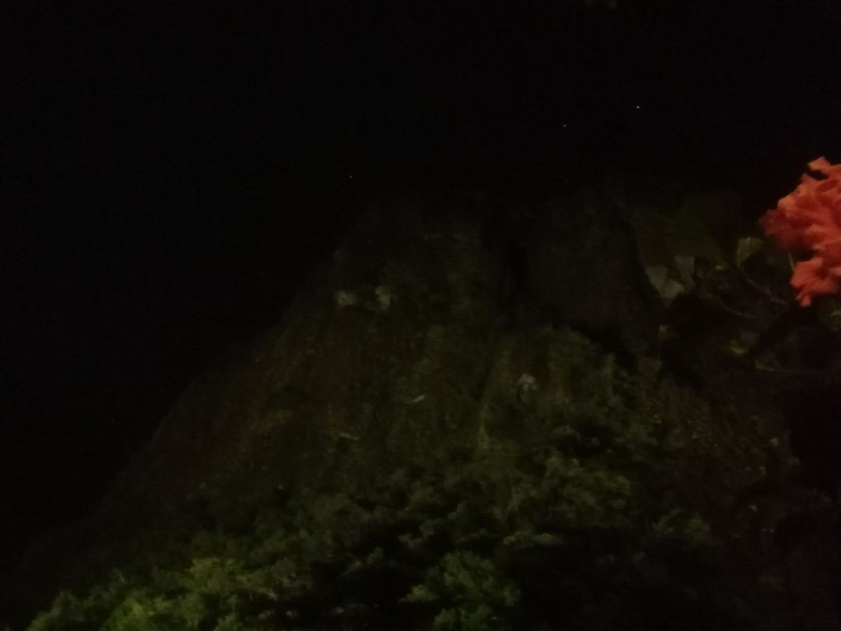 観光拠点の街アグアスカリエンテスを夜もまだあけぬうちに出発。月明かりに照ら...