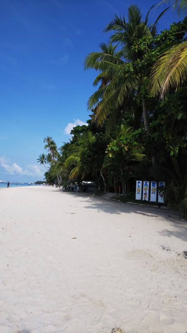 フィリピン・セブ「セブ」の写真：アロナビーチ