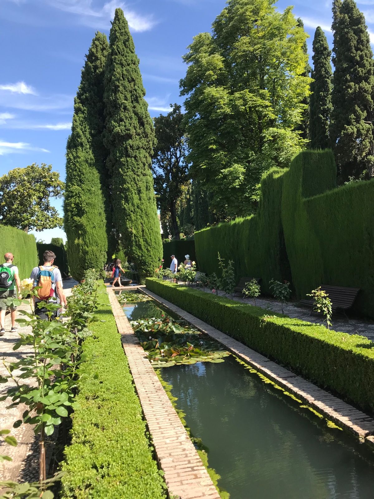 念願のアルハンブラ宮殿🙌こちらはフエラリフェ庭園