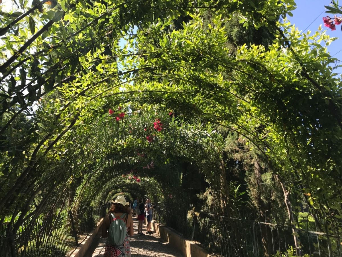 アルハンブラ宮殿庭園内。庭園だけで1時間ほど見学にかかります。