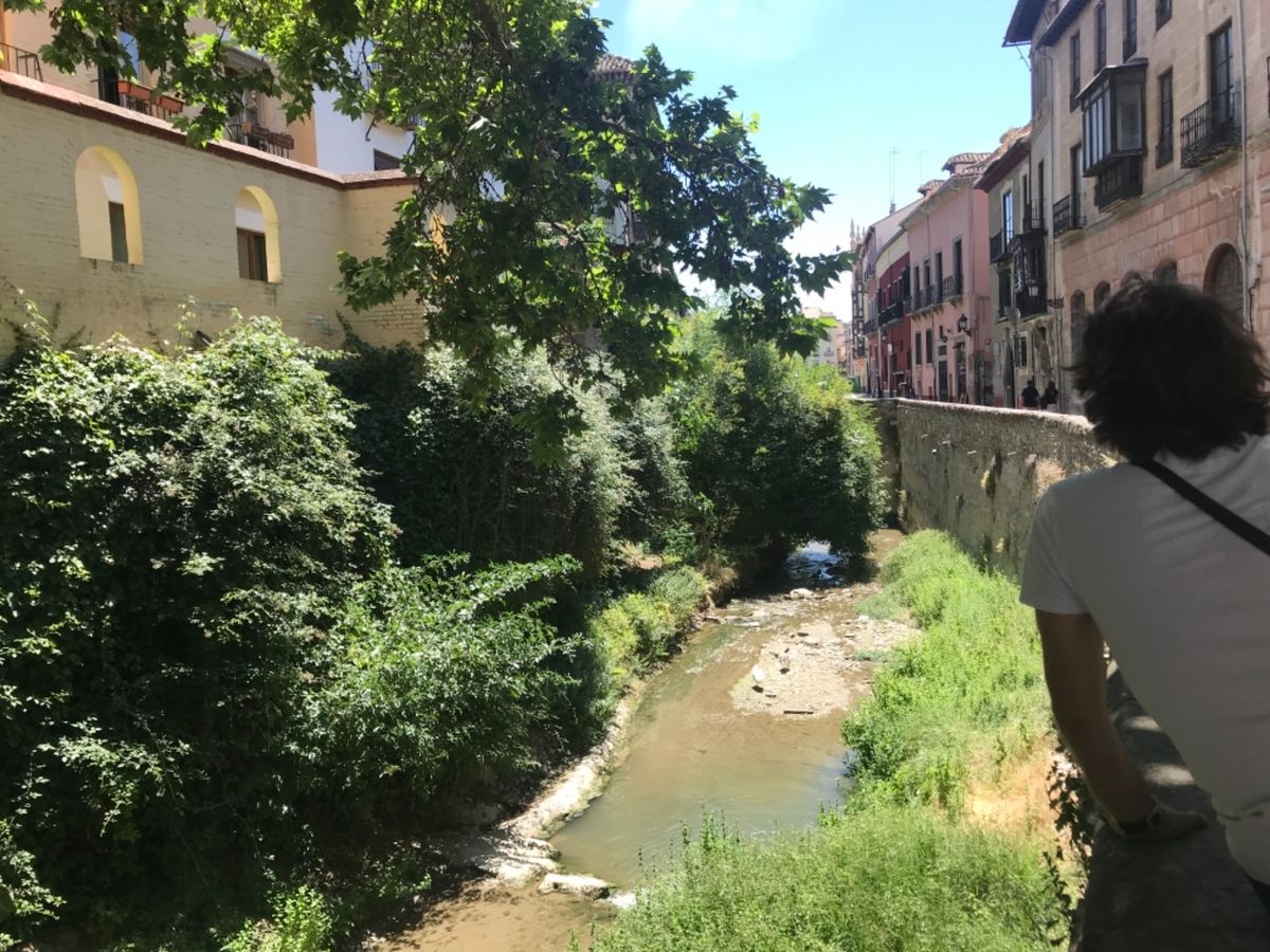 泊まったホテルの中庭やホテル近くを散歩した風景。スペインの中庭は本当にどこ...