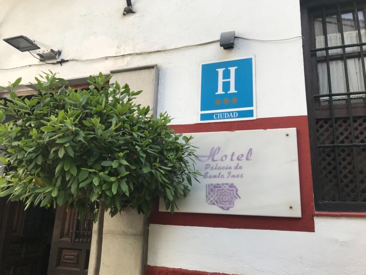 スペインの朝ごはんのチュロスとホットショコラ。これが甘すぎずすごく美味しく...