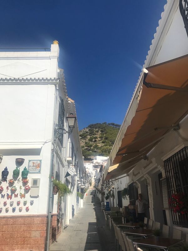 スペイン・ミハス「スペイン 白の街」の写真：ミハスの白い街。どこを取っても絵になるな...