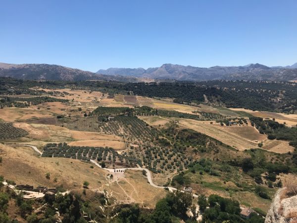 スペイン・ミハス「スペイン 白の街」の写真：ロンダ。この橋を見たかったー！圧巻です