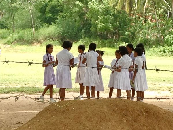 スリランカ・コロンボ「スリランカの旅」の写真