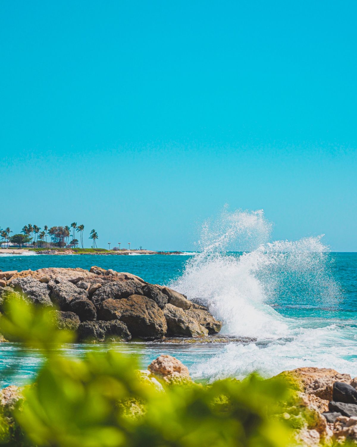 ホテル前のビーチ沿に、緑に囲まれた遊歩道がある。
少し進むと、海岸線の岩場...