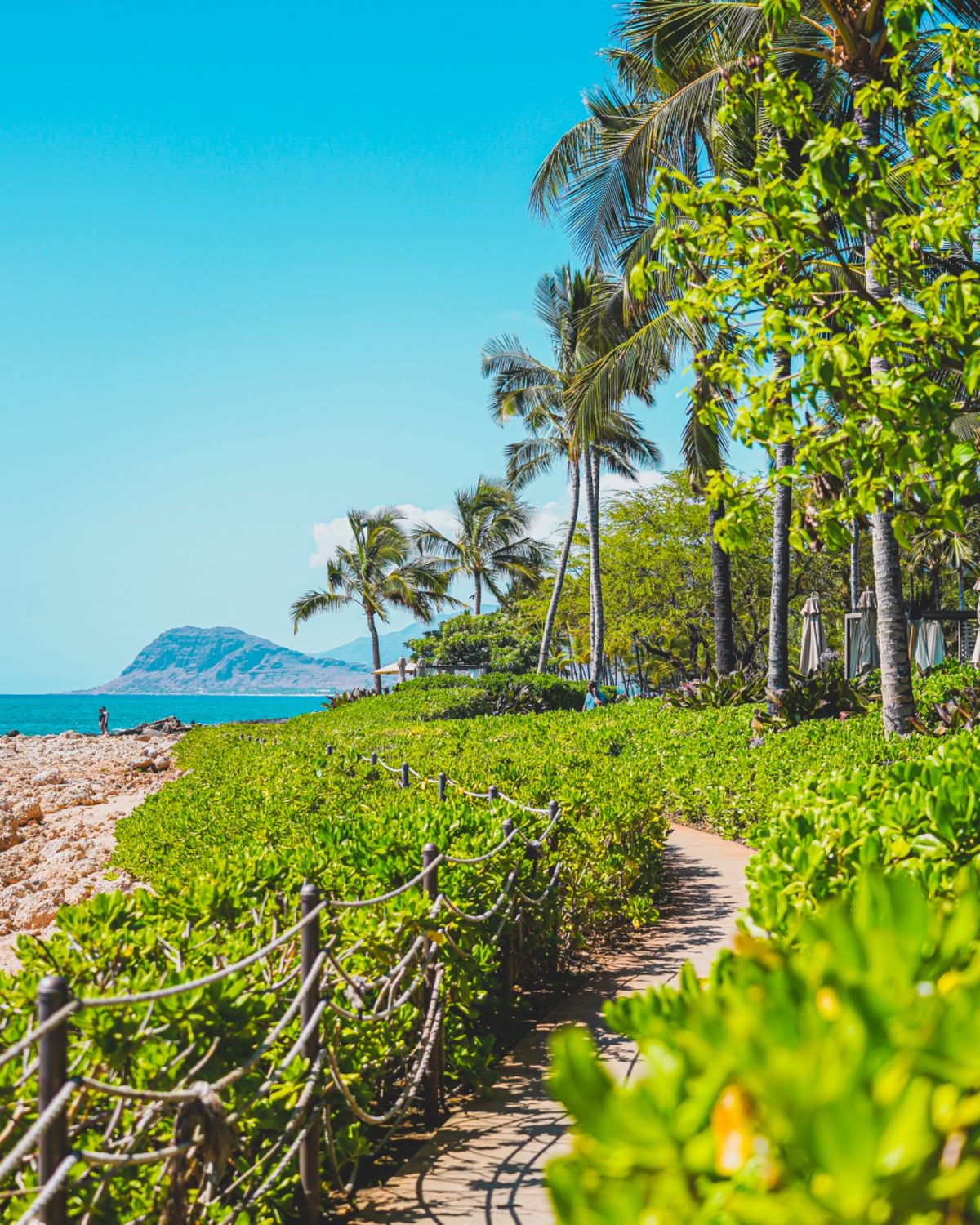 ホテル前のビーチ沿に、緑に囲まれた遊歩道がある。
少し進むと、海岸線の岩場...