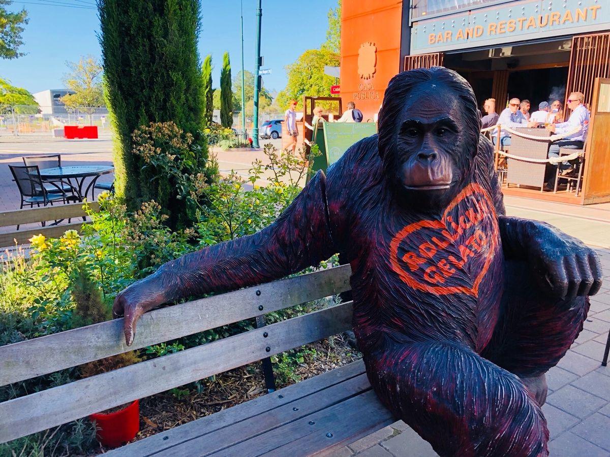 クライストチャーチで空港泊。ぐっすりは眠れない。