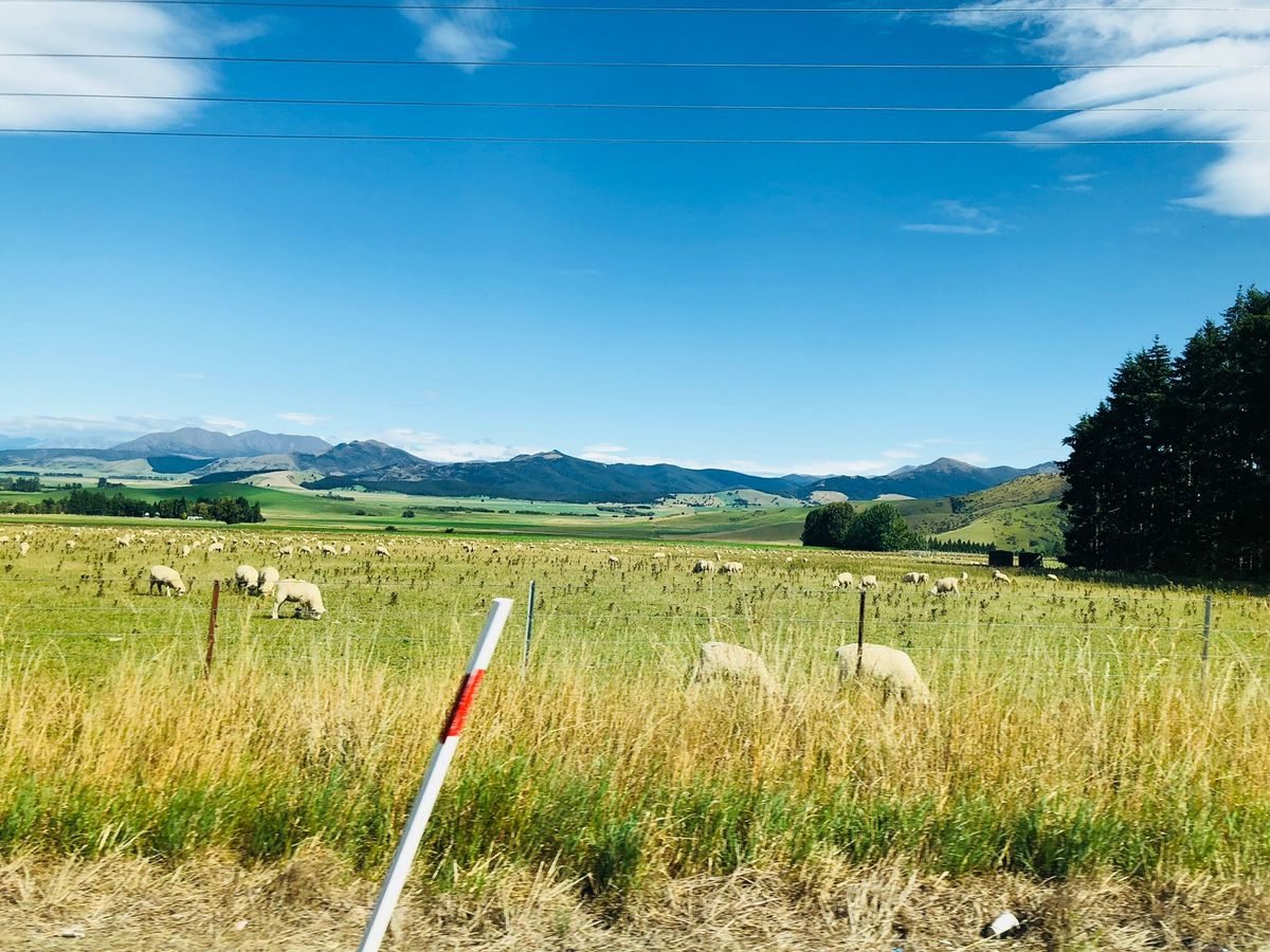 ドライブしてるだけでめっちゃ楽しい。道が直線ばかりで運転も簡単。