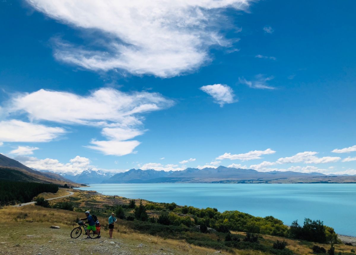 湖がめちゃめちゃ綺麗。テカポ湖とプカキ湖はミルキーブルーがすごい。