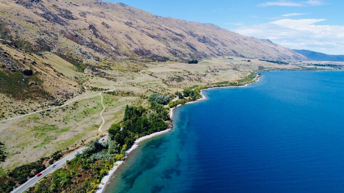 湖がめちゃめちゃ綺麗。テカポ湖とプカキ湖はミルキーブルーがすごい。