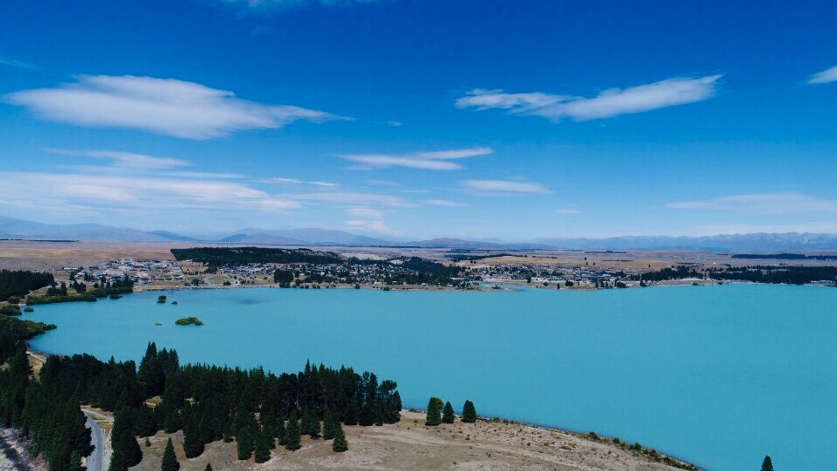 湖がめちゃめちゃ綺麗。テカポ湖とプカキ湖はミルキーブルーがすごい。