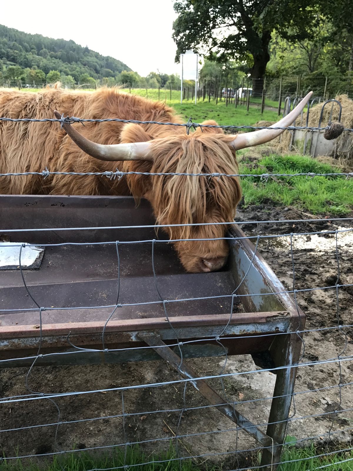 ネス湖へ行く道中