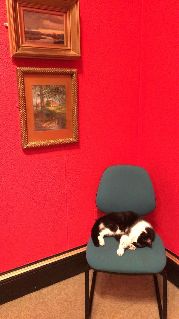 イギリス(英国)・エディンバラ「スコットランド」の写真