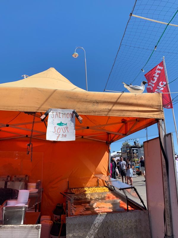 フィンランド・ヘルシンキ「ヘルシンキ旅行」の写真：港をお散歩していたら屋台がたくさん並んで...