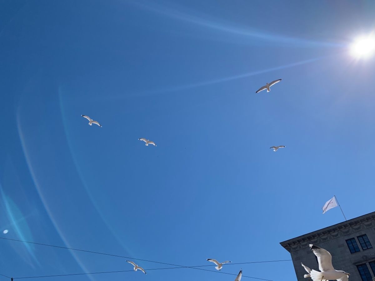 港をお散歩していたら屋台がたくさん並んでいるところを発見しました。
サー...