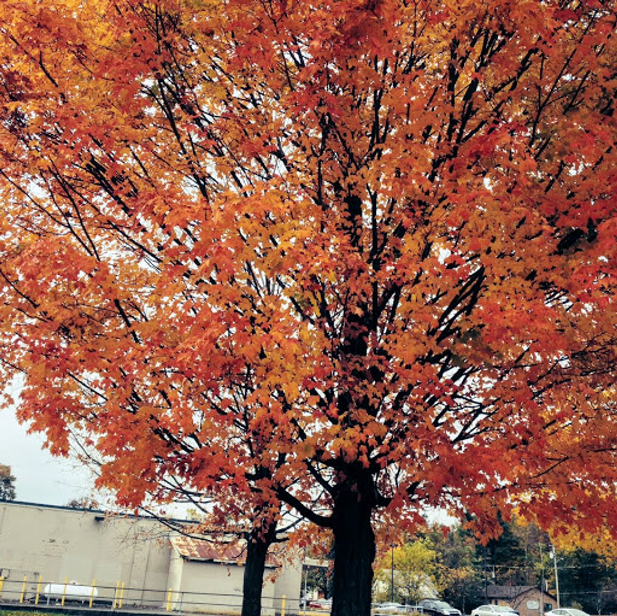 ニューヨーク州のエレンビルへ
大都会のところ(地名がわからない笑)と比べて...