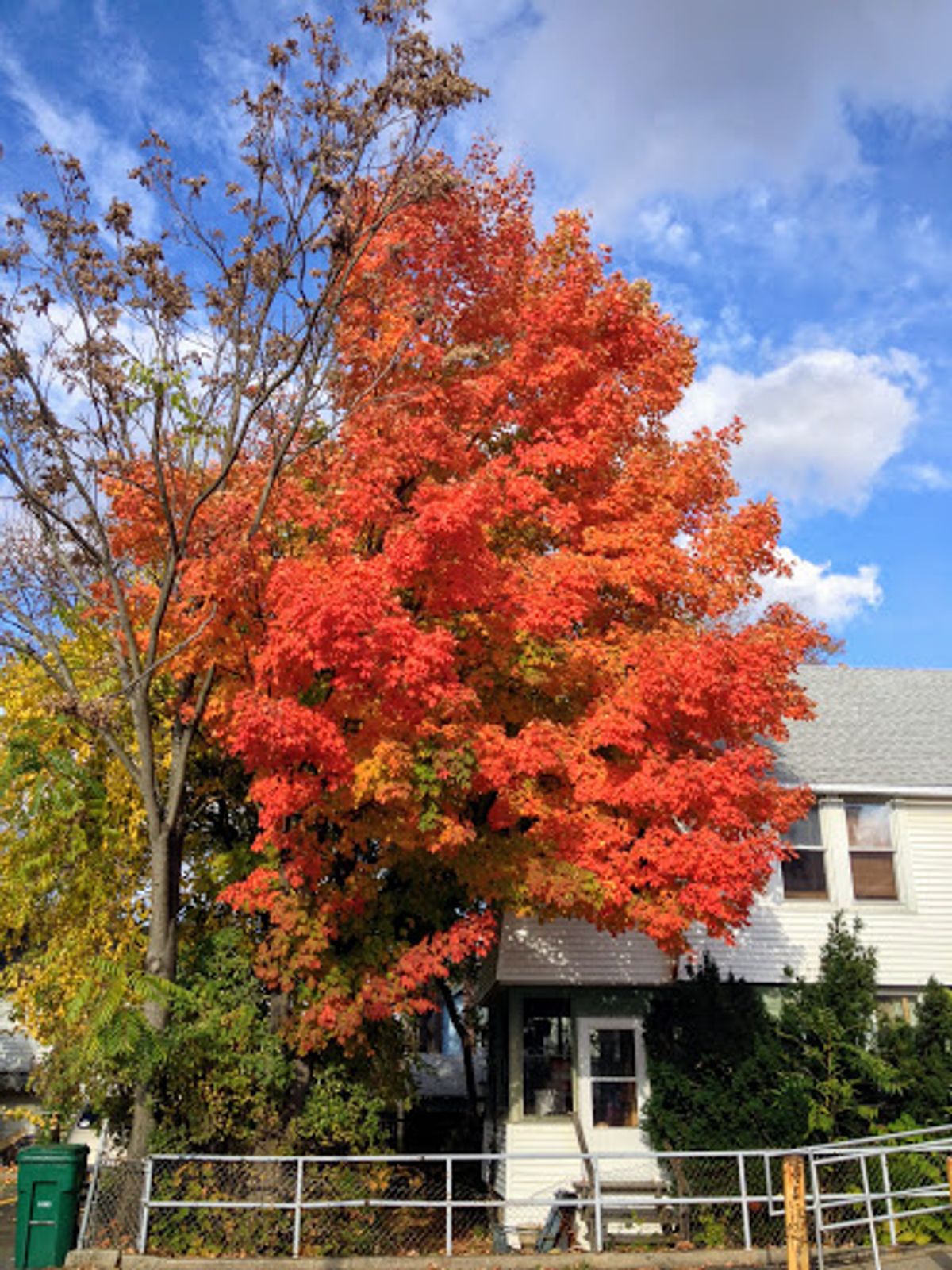 ニューヨーク州のエレンビルへ
大都会のところ(地名がわからない笑)と比べて...