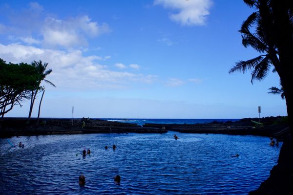 アメリカ(米国)・ハワイ島「ハワイの旅3」の写真