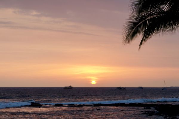 アメリカ(米国)・ハワイ島「ハワイの旅3」の写真