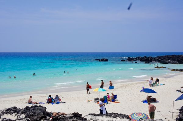アメリカ(米国)・ハワイ島「ハワイの旅3」の写真