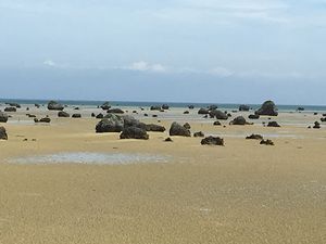 佐和田の浜