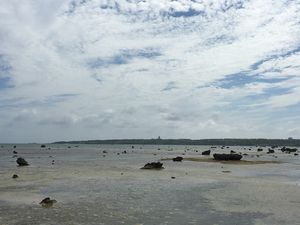 佐和田の浜