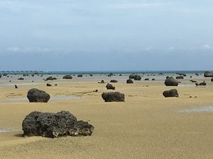 佐和田の浜