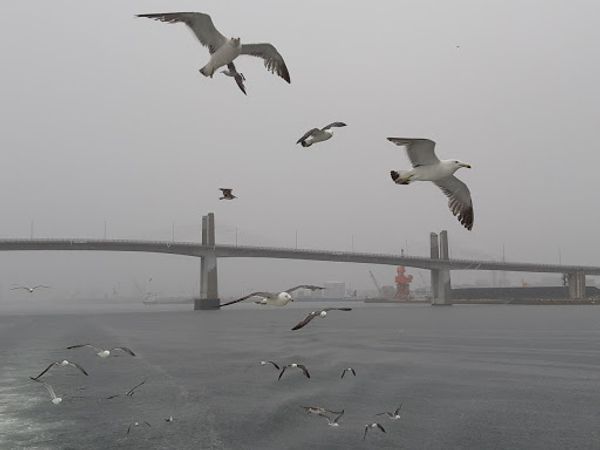 日本「いわき」の写真