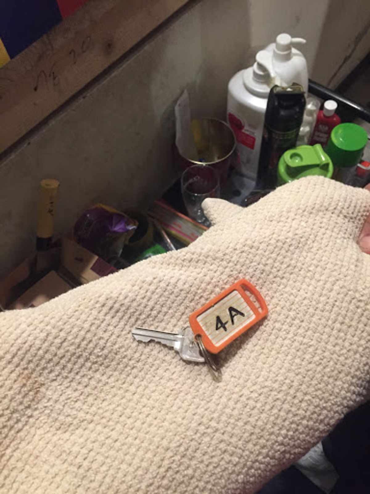 蔡英文を応援しよう！という名目で台湾にやってきた！
選挙までまだ数日あるの...