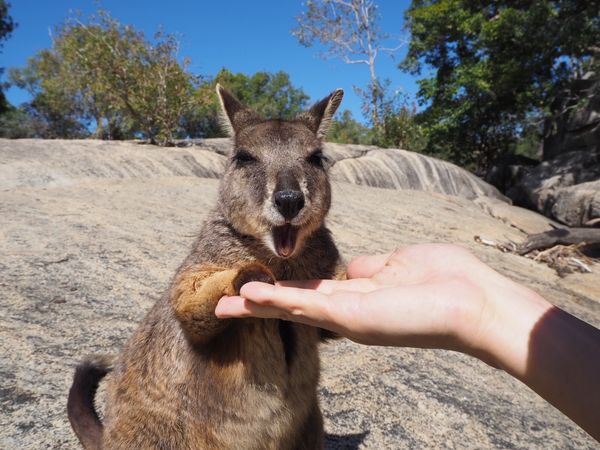 オーストラリア連邦・ケアンズ「ケアンズ」の写真