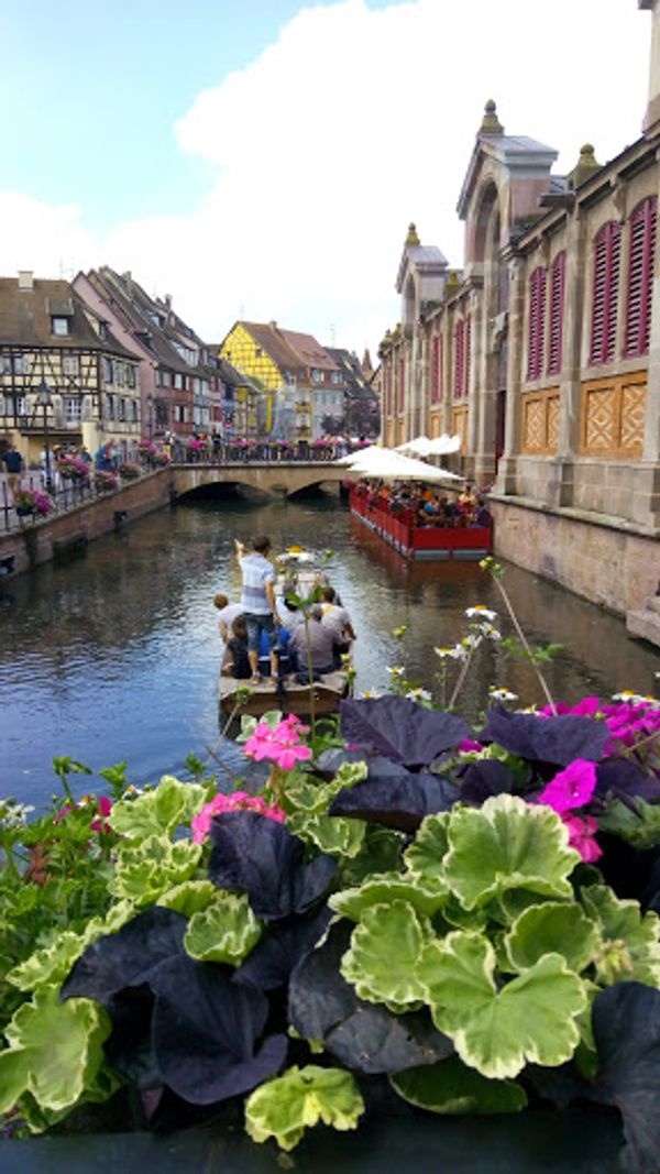 フランス・リクヴィール「アルザスワイン街道を巡る旅」の写真：コルマールへ移動。こちらも可愛らしい街並...