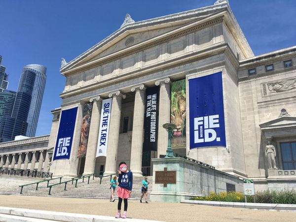 アメリカ(米国)・シカゴ「アメリカ：シカゴ→フロリダ」の写真：フィールド博物館