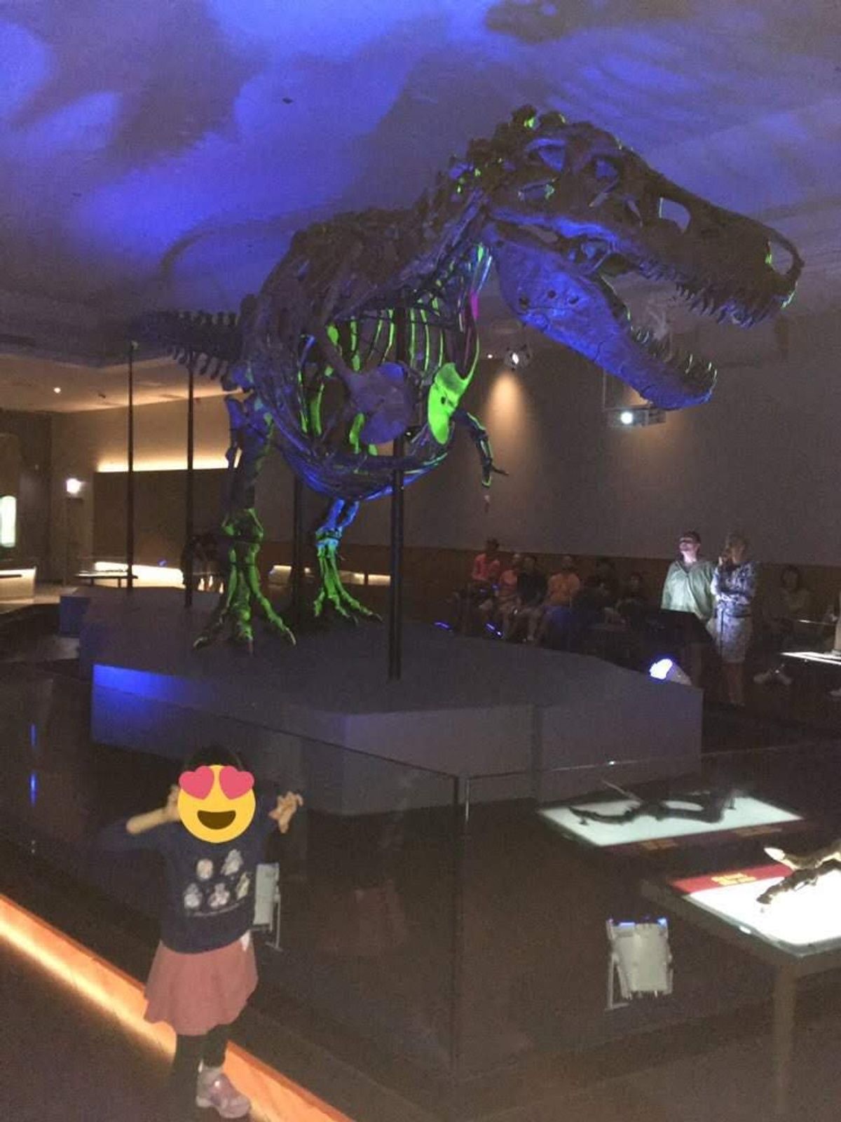 フィールド博物館