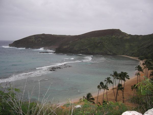 アメリカ(米国)・ハワイ「ハワイ表彰旅行」の写真