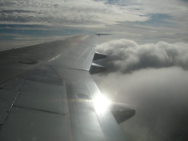 アメリカ(米国)・ハワイ「ハワイ表彰旅行」の写真