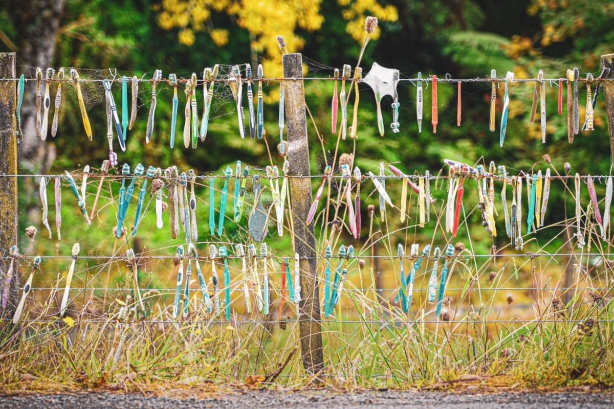 なぜこんなところに歯ブラシが？

ファタファタの村から20分ほど南下した片...