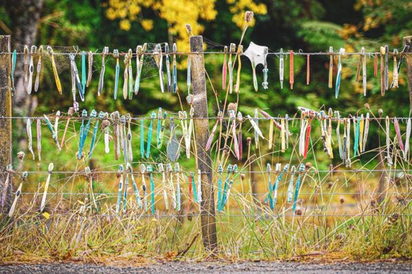 ニュージーランド・ワイトモ「ニュージーランド レンタカーで行き当たりばったりの旅」の写真：なぜこんなところに歯ブラシが？

ファタ...