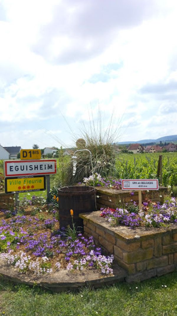 フランス・リクヴィール「アルザスワイン街道を巡る旅」の写真：この日の宿泊地のエギスハイムに到着。
エ...